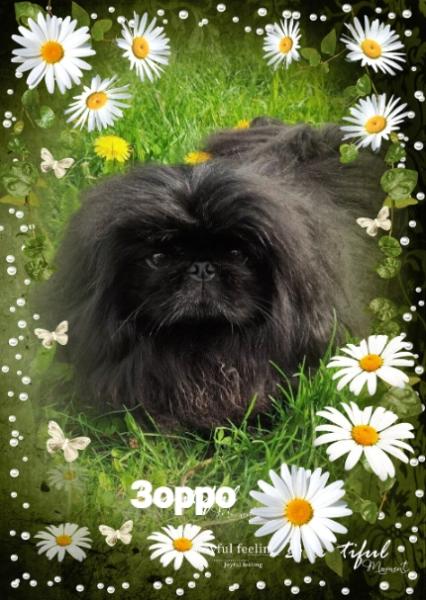 Прикрепленное изображение: 7MFnj4NYXazm8kz5C774loQ1j6mXkeObqQCG3pIjuDh4XMISk8egGCBn6f9c0YCWLQZ6HHI6edswXUyz-GuzxsEl.jpg